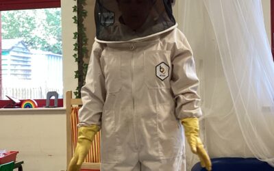 EYFS visit from a beekeeper