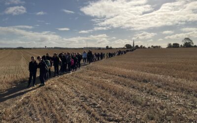 Year 4 and 5 trip to Irchester Country Park